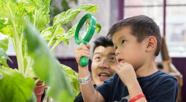 Child inspecting a plant