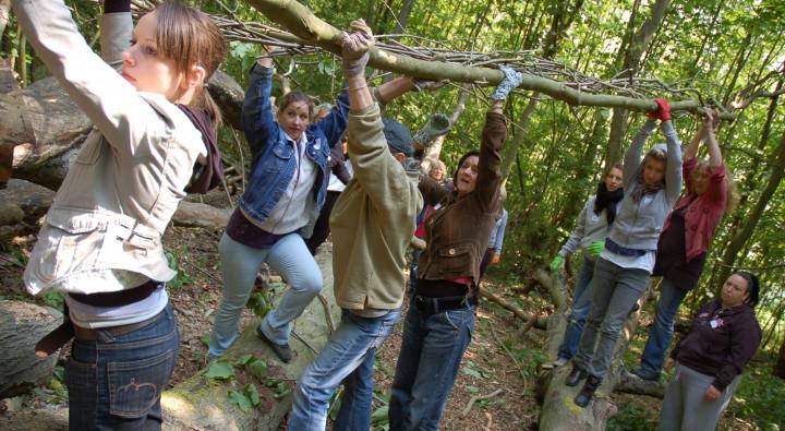 Brighton Access to Art - outdoor forest activity