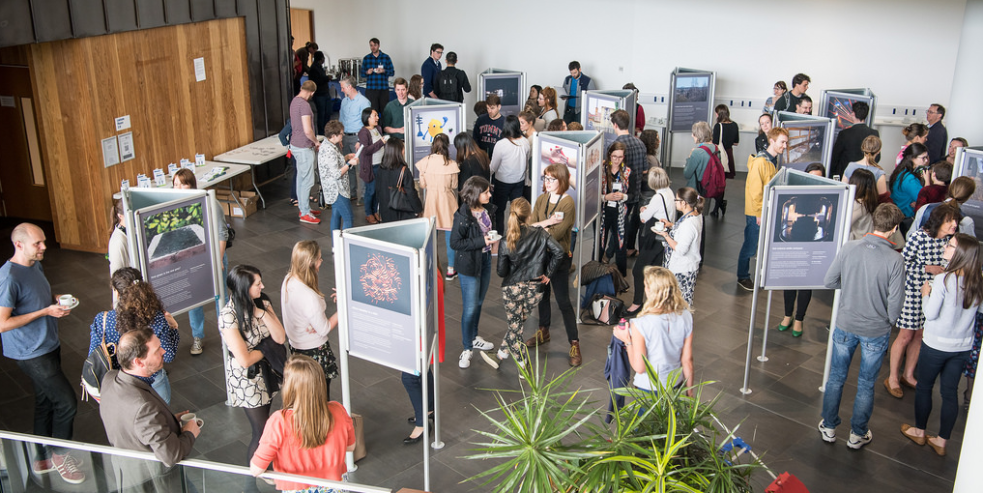 University of Bath poster show