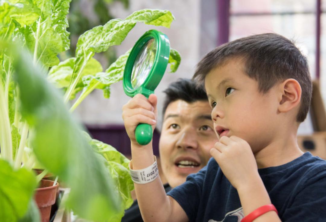 Child inspecting a plant