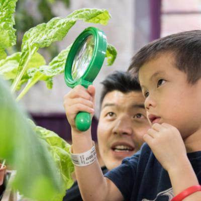 Child inspecting a plant