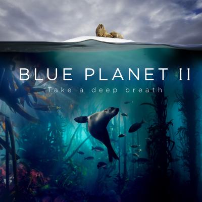 Blue Planet 2 poster, seal under water