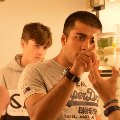 University of Dundee: young people examining plant in lab